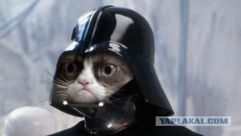 Показалось