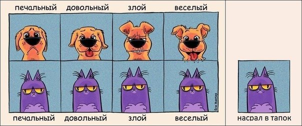 Как видите себя вы, и как видит вас ваша собака