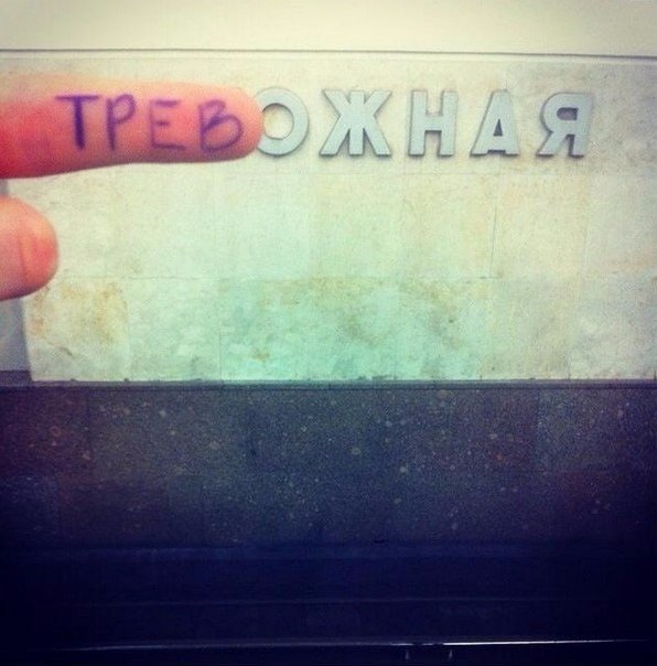 Подборка интересных и веселых фото