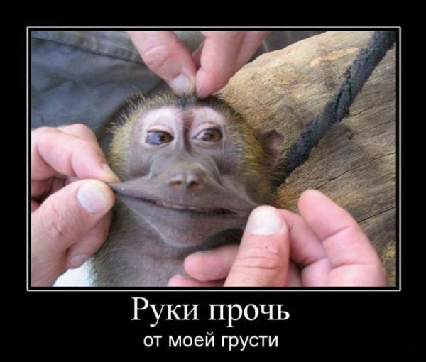 Папа, дочь тебя будет любить!
