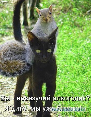 Подборка "баянов" со всего интернета