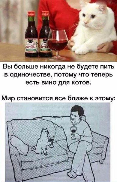 Немного смешных картинок для настроения. 16+