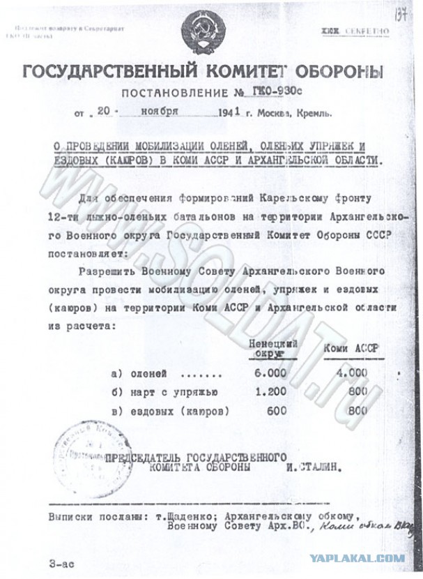 И три боевых оленя!