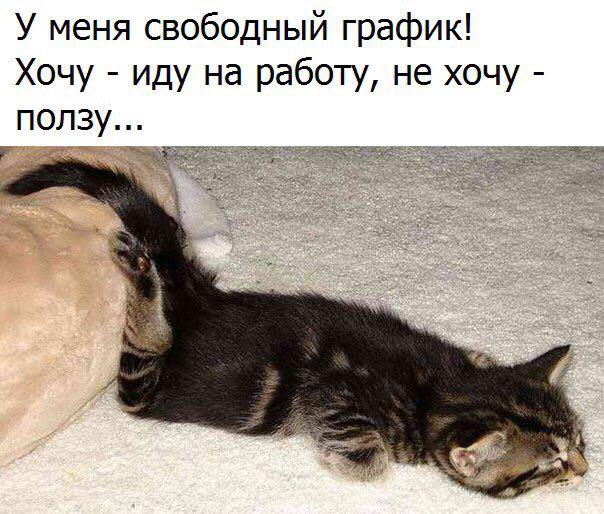 Не Хочу На Работу Картинки