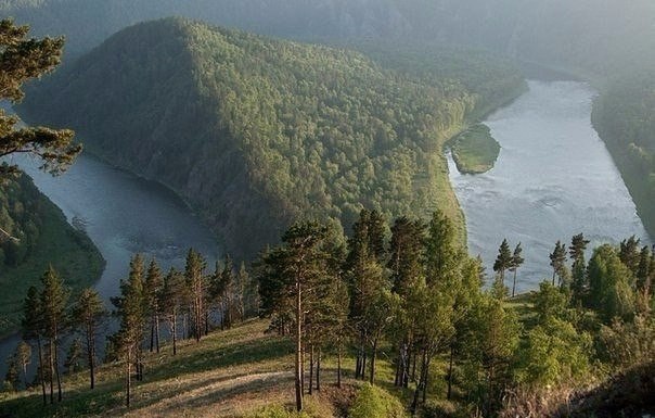 Моменты, запечатлённые на фото и просто позитив 5