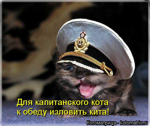 Без пяти минут князь ( Акулы из стали)