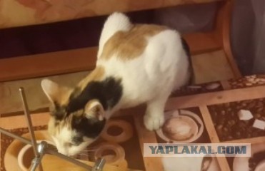 О! Смотрите чо я сделал из того что было.