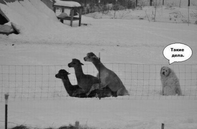 Ударная доза тупежа и лёгкой наркомании к выходным