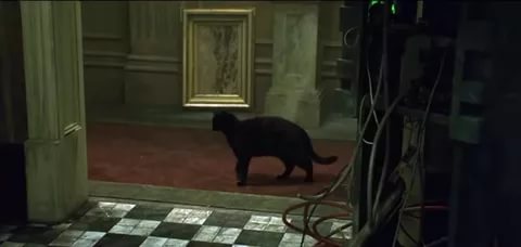 Человек-GIF