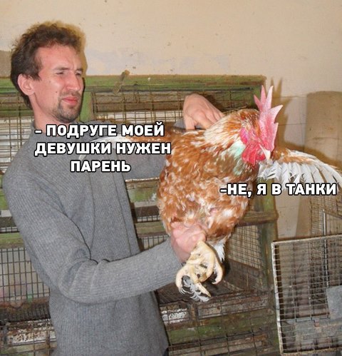 Подборка картинок. Забавных, прикольных - разных!