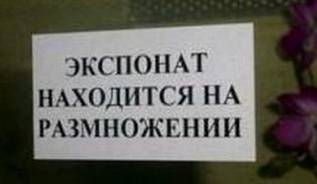 Нестандартный юмор