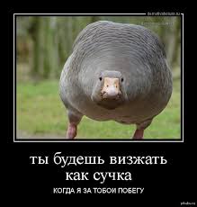 Царь двора