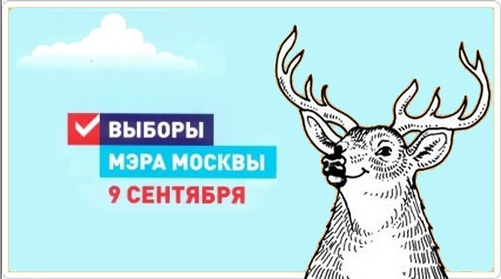 Очередная ловушка от ЦОДД для водителей в Москве