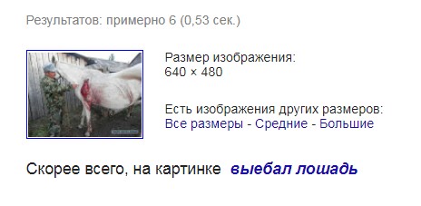 Чудики из социальных сетей