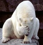 Почему мужчин так волнует прошлое жены?