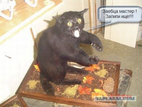 Зоопарк чучел