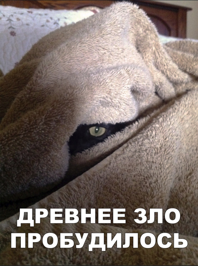 Прикольные картинки абавсём