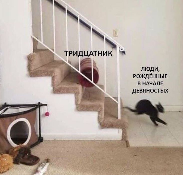 13800431.jpg
