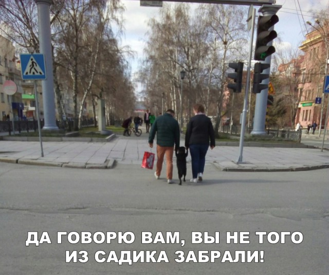 Немного картинок для настроения 10.01.20