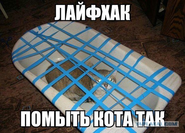 Чуток картинок. Ночные
