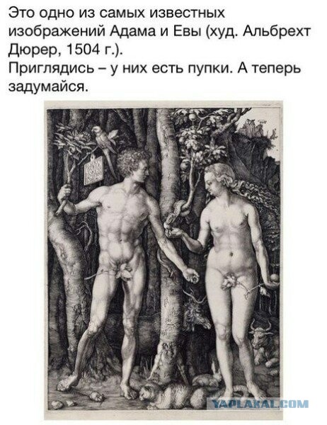 Бредзона 16.02.20