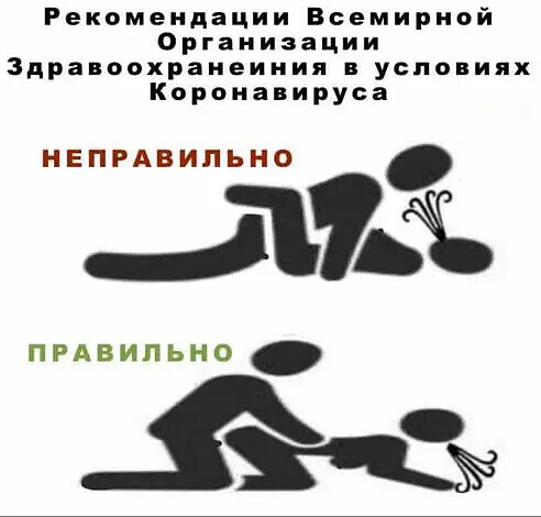 Академик порекомендовал заниматься сексом для иммунитета