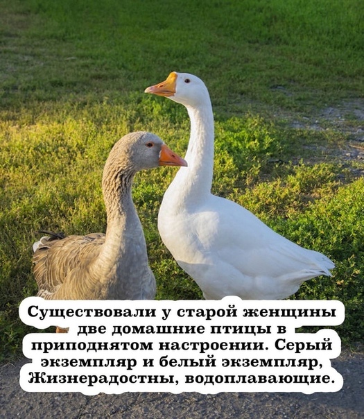 Немного картинок для настроения 23.04.20