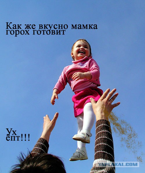 Простое человеческое счастье в картинках