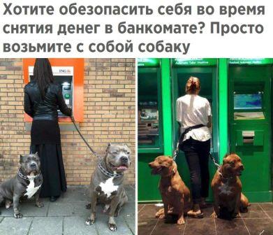 Юмор из соцсетей