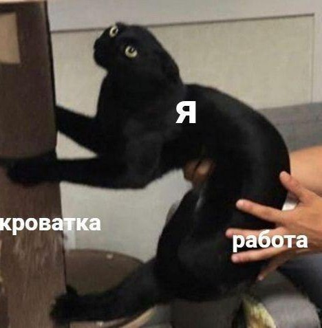 Бредзона 15.12.20