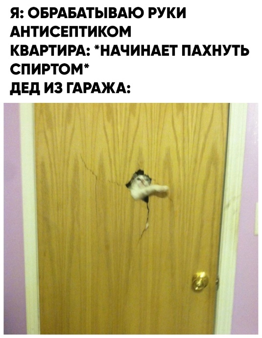 Кретинизмы из сети 12.01.21