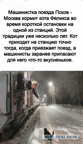 Картинки и мемы для настроения 027