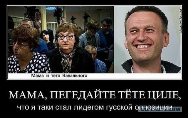 Президент Чехии назвал ситуацию с Навальным балаганом