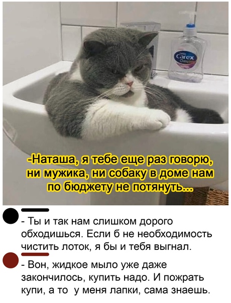 Картинки 11.02