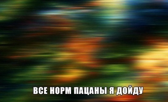 Алкопитница