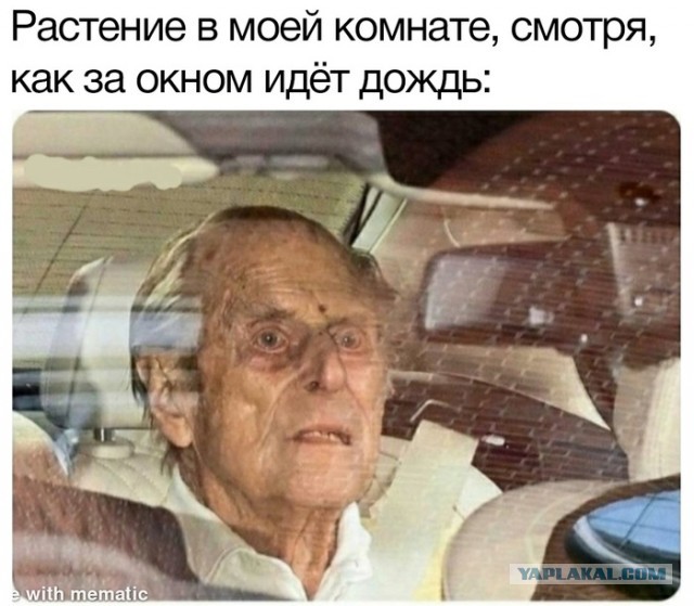 Весёлый полтишок 29.03