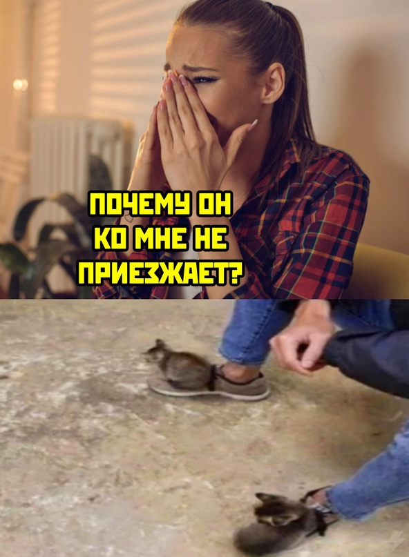 Весёлый полтишок 2.07