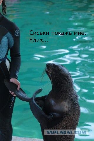 Крым. Евпатория, Ялта... да и вообще на машине