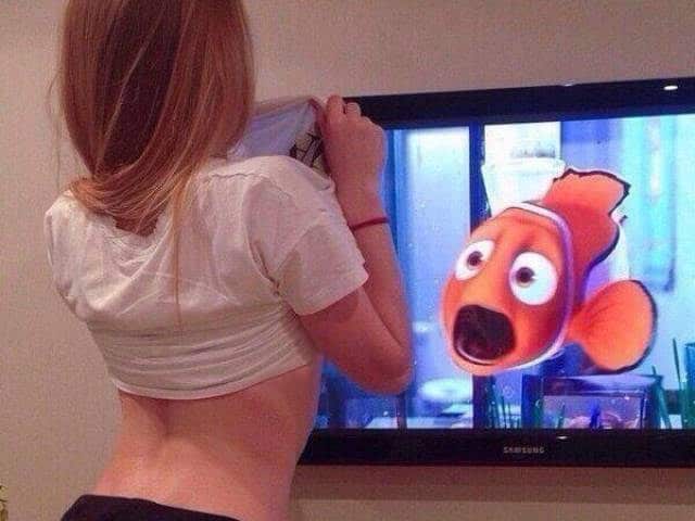 Это нужно развидеть: 14 забавных фото, которые обманут ваше зрение