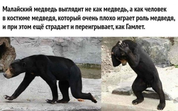 Пятница. Вечер. Картинки всякие #8