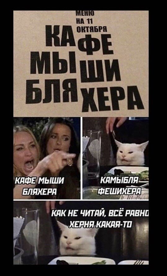 Весёлый полтишок 15.07.22