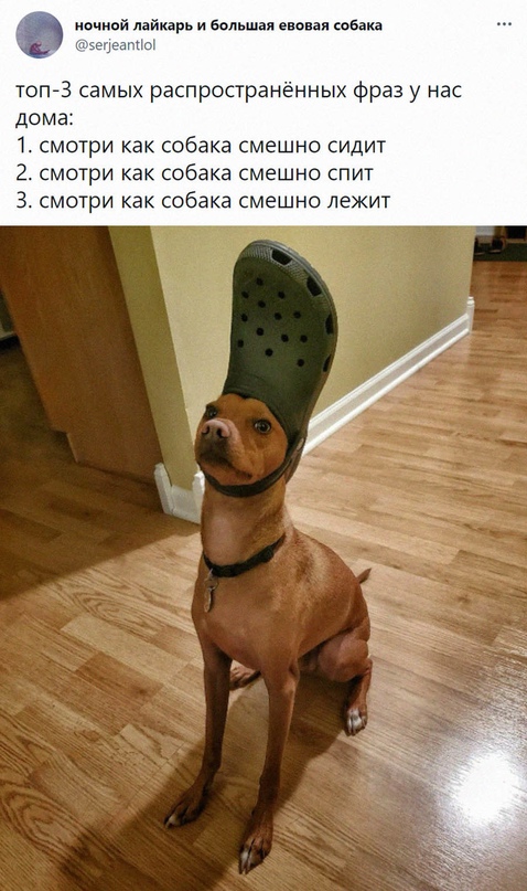 Картинки и мемы для настроения - 17