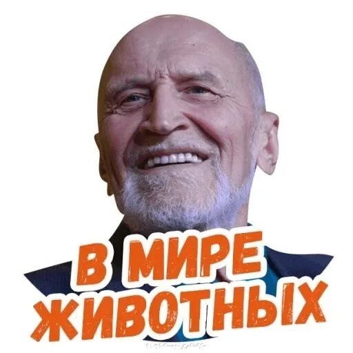 Пожалуй, я лучше дождусь автобуса на другой остановке
