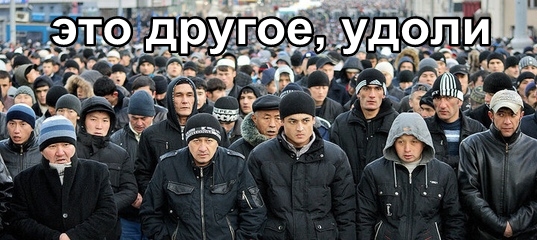 В Кремле дали оценку действиям подростков нового молодежного движения «ЧВК Редан»