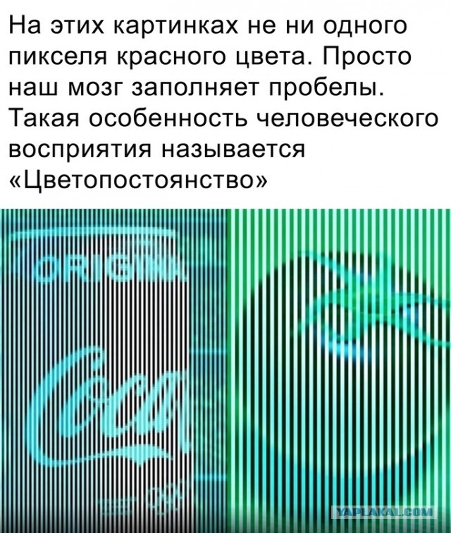 Серого!!!