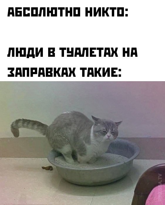 Юмор в картинках и без