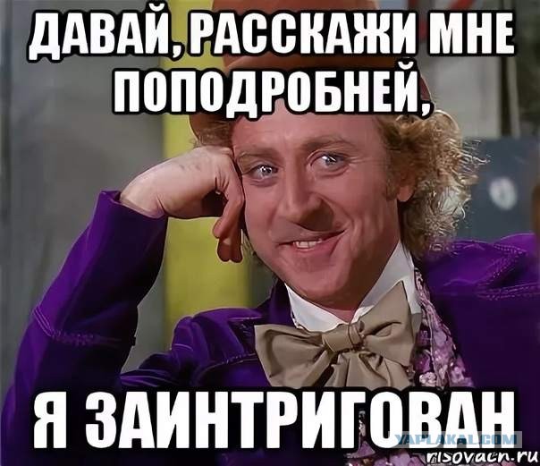 Я спросила у них, не мошенники ли они?