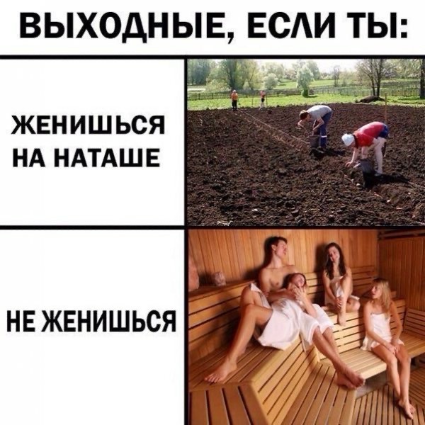 Все равны, но бабы равнее