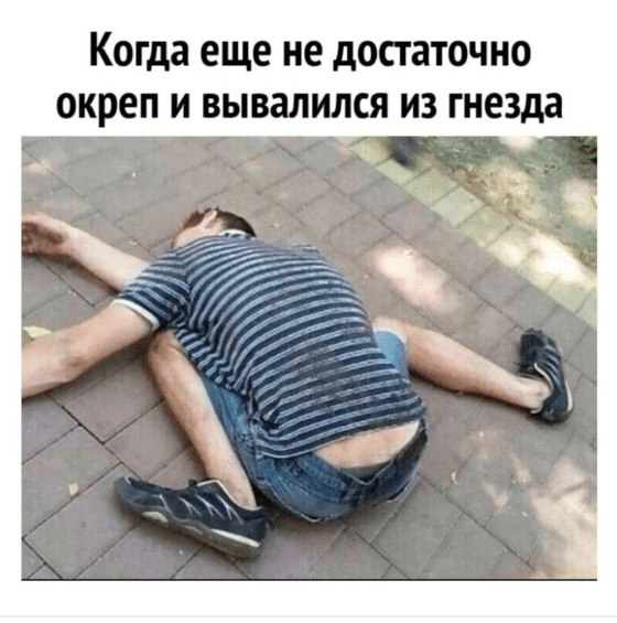 Алкогольный феномен: почему алкоголики неуязвимы при падениях, травмах, авариях