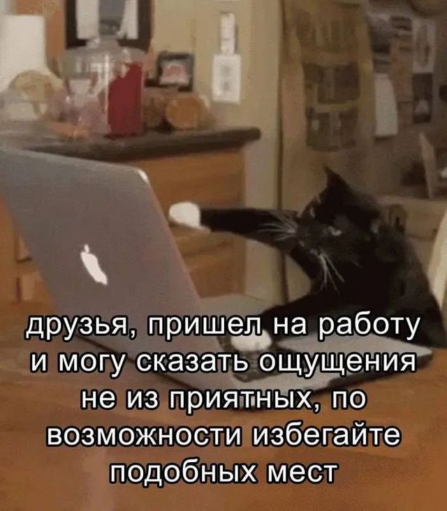 Завалялось тут случайно немного забавных картинок